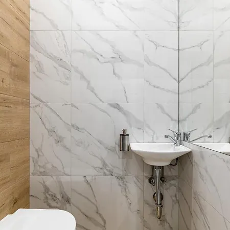 Modern In The Of Center Apartment Lviv